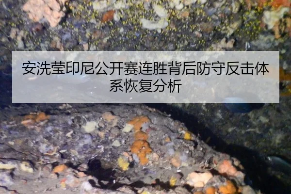 安洗莹印尼公开赛连胜背后防守反击体系恢复分析